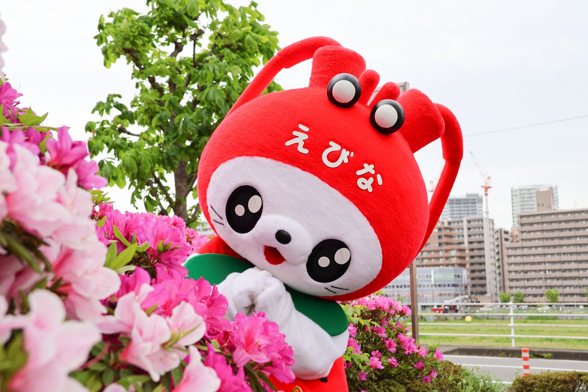 海老名市えび~にゃ🍓【公式】 tweet media