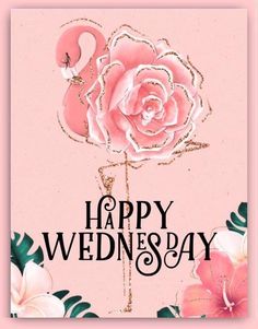 famtasticrocks's tweet image. Good Morning #EventProfs and have a #HappyWednesday 🦩