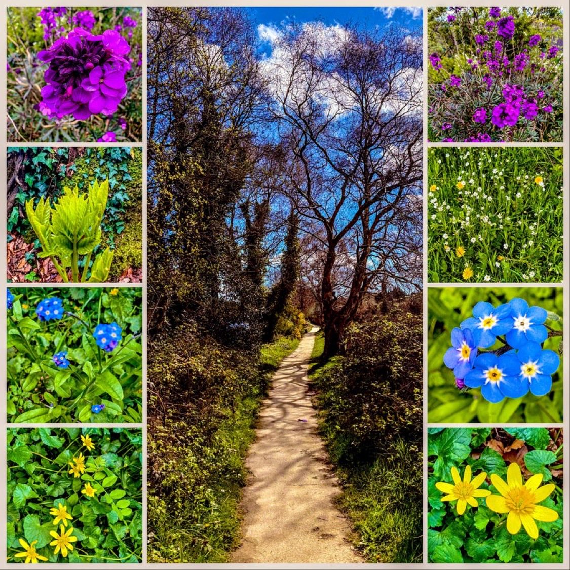 My Lens My Perspective tweet media