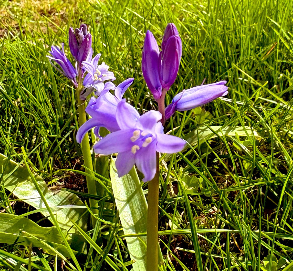 My Lens My Perspective tweet media