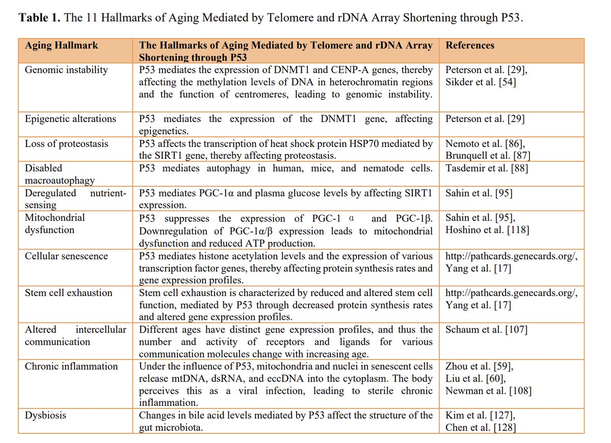 Bilu Huang tweet media