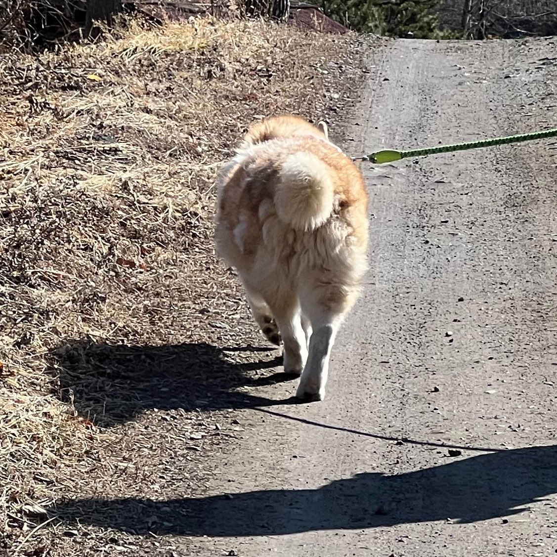 いざや tweet media