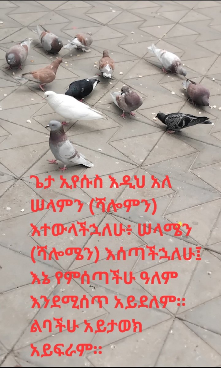GYENESEW's tweet photo. ሠላም ዛሬ መንፈሥ ቅዱስ ያስታወሠኝ 202
https://t.co/o8pkniWj7G
ዮሐንስ 14:27
John 14:27 https://t.co/7vgtdQhhsh