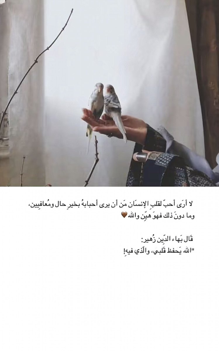 🇸🇦Reema-🐎 tweet media