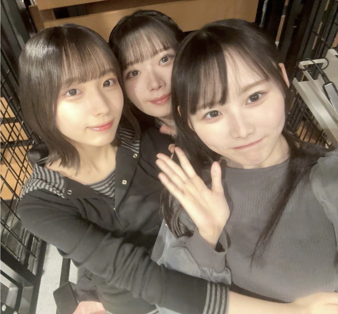 卵の車輪 tweet media