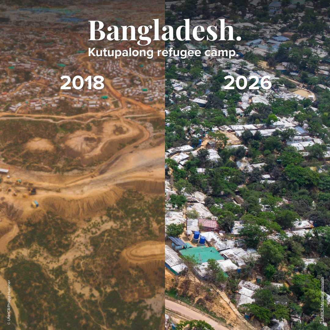 Refugees's tweet image. In one of the world’s most densely populated places, green is growing back.

Rohingya refugees in Bangladesh are restoring forests, adapting to extreme weather and rebuilding their lives.

This #EarthDay, remember: refugees are rebuilding on the frontlines of the climate crisis.