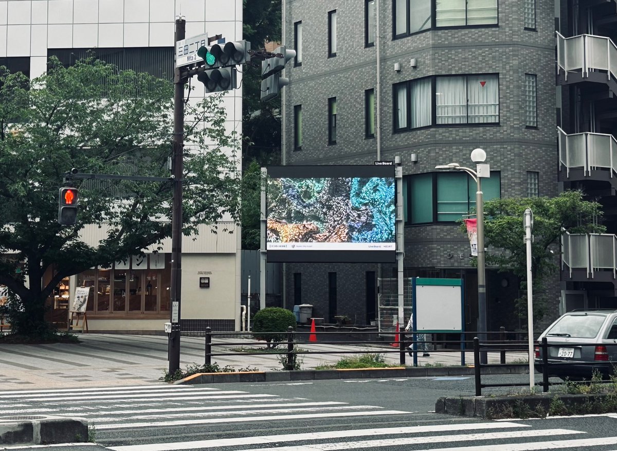 月刊Signs&Displays 編集部 tweet media