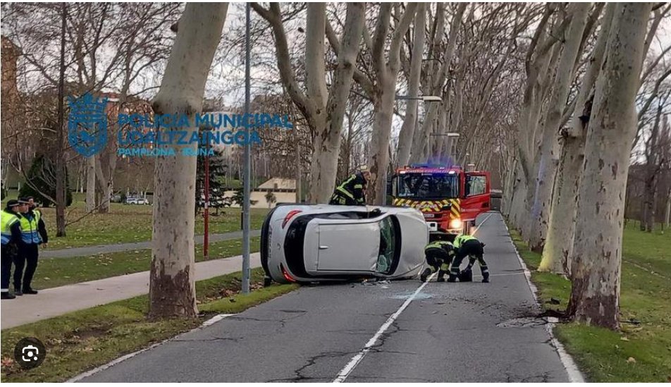 Navarino Rd tweet media