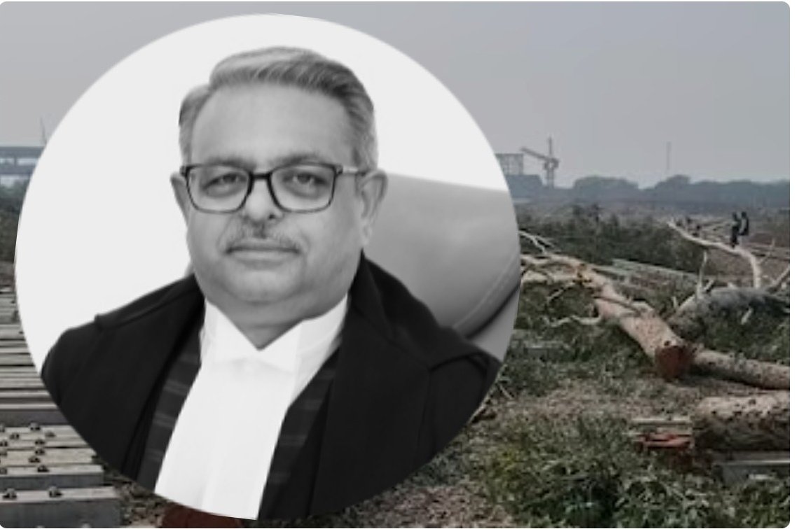 Ajay Joe tweet media