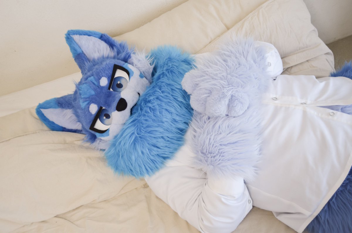 🐾화울(Whaul)🐾 tweet media