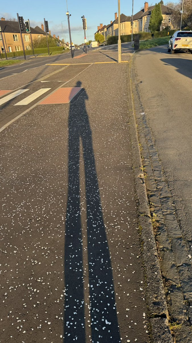 alistairgilli10's tweet image. early morning walk catching the sunrise and casting shadows #morning #walk #walker #sunrise #motivation