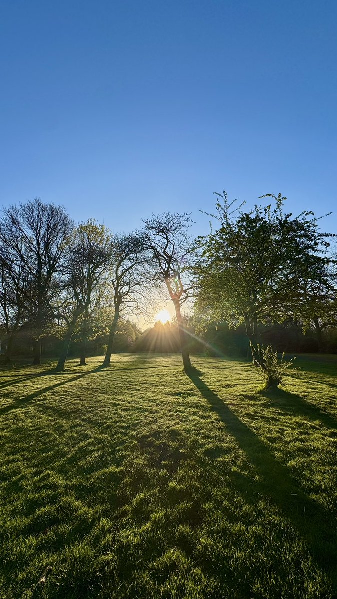 alistairgilli10's tweet image. early morning walk catching the sunrise and casting shadows #morning #walk #walker #sunrise #motivation