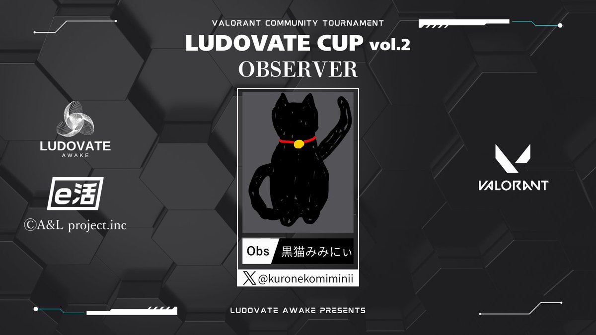 Ludovate Awake tweet media