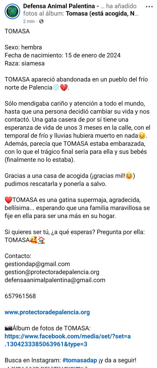 Defensa Animal Palentina tweet media