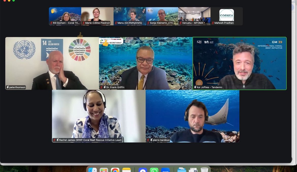 Rachel S James tweet media