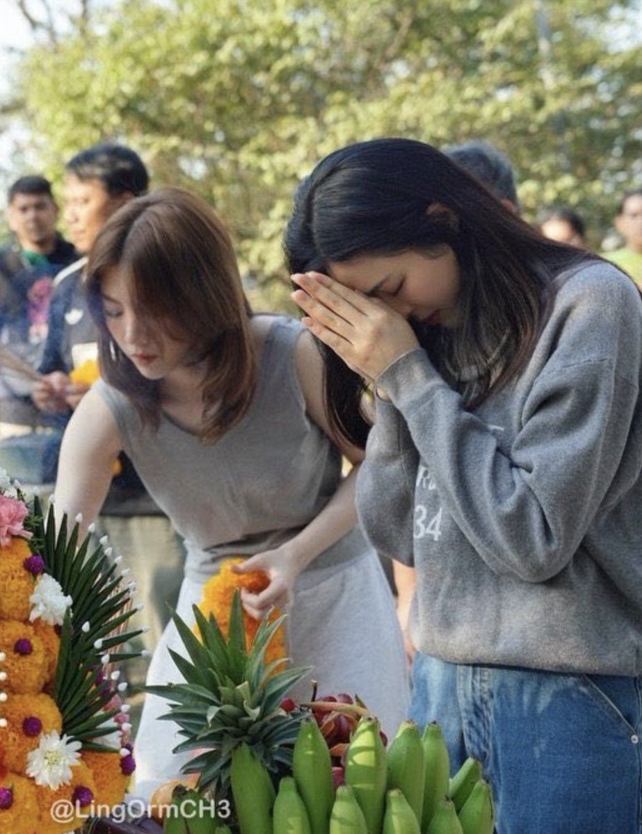 LingOrm_TagTrend 📈 tweet media