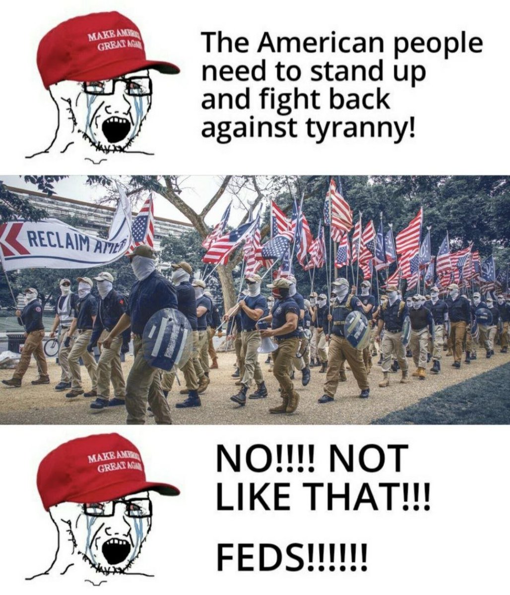 Scipio's Ghost tweet media