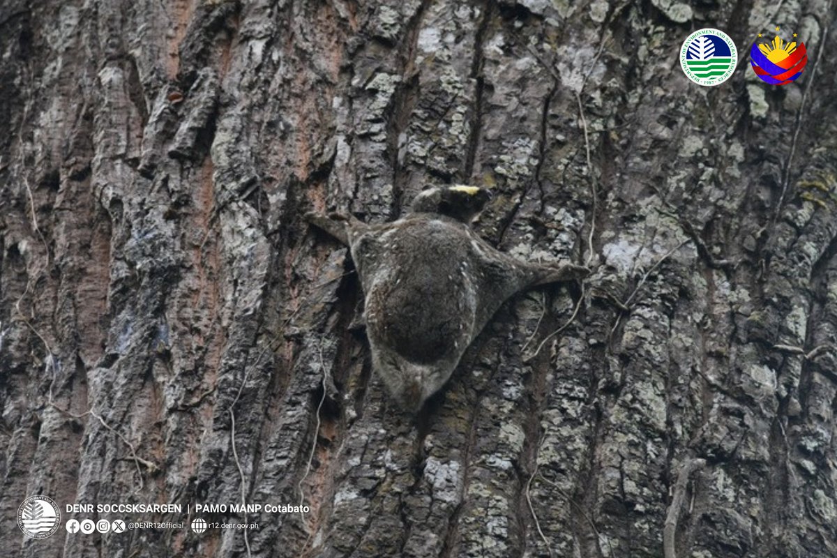 Philstar.com tweet media