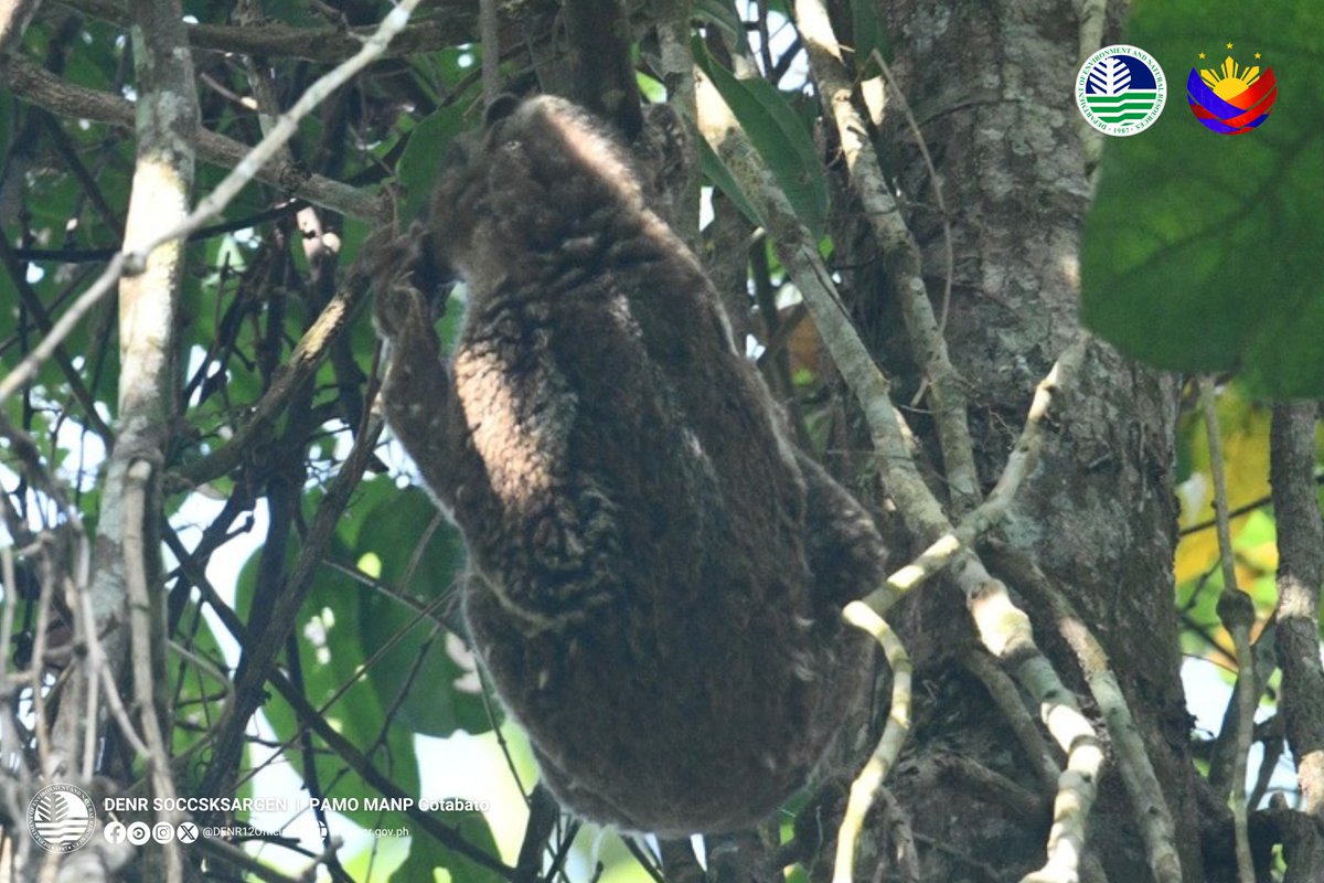 Philstar.com tweet media