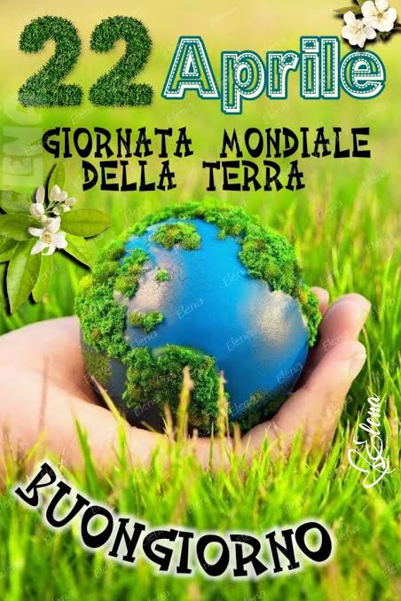 Imma Paradiso tweet media