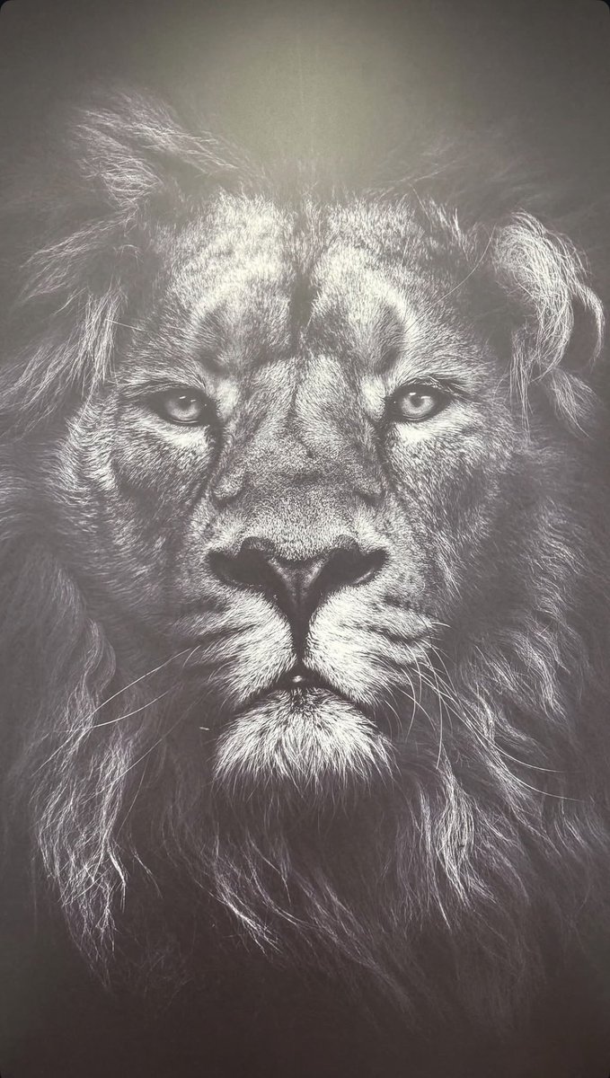 Ganhar. Ganhar. Ganhar.