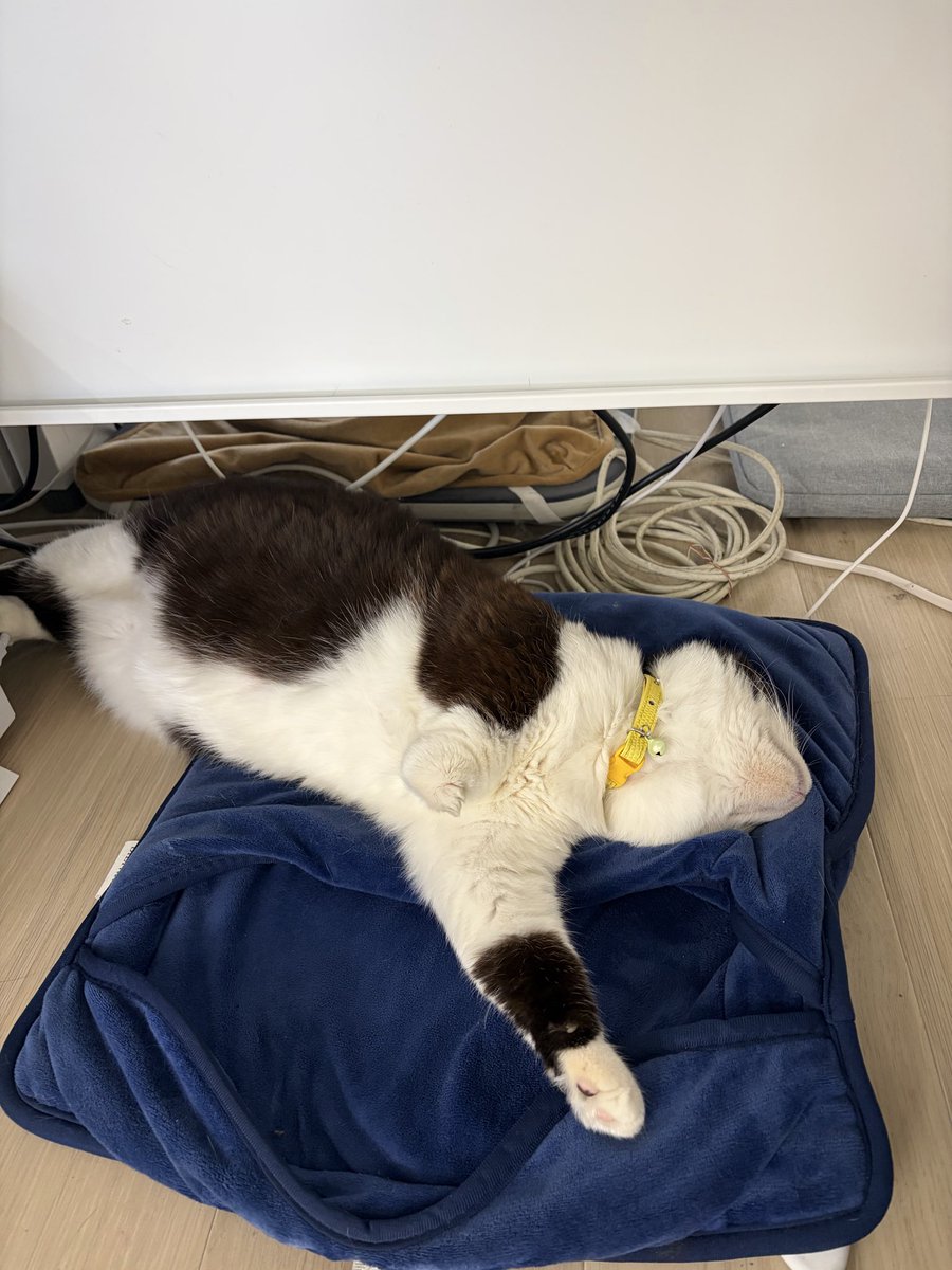 株式会社日章 tweet media