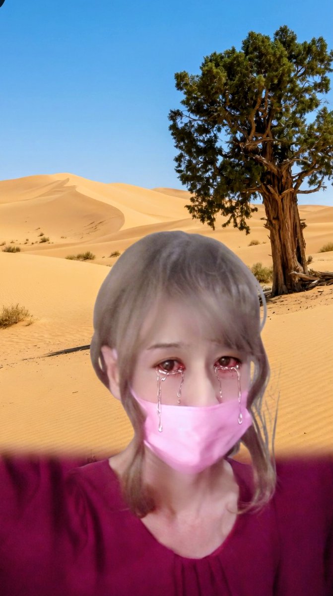 真奈佳『imitation』🐊 tweet media