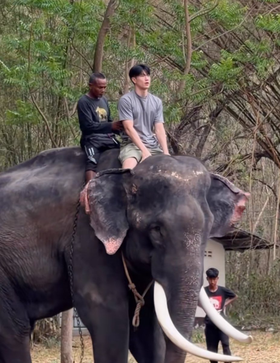 โลโซ tweet media