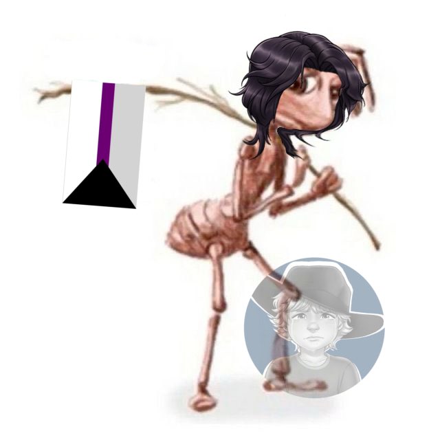 acervo felipe muller tweet media