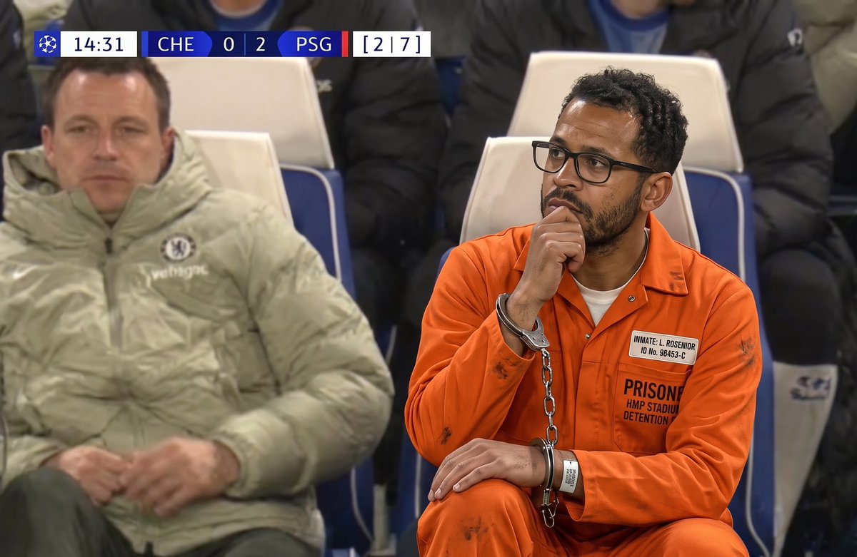 Blues Shepherd 💙 tweet media