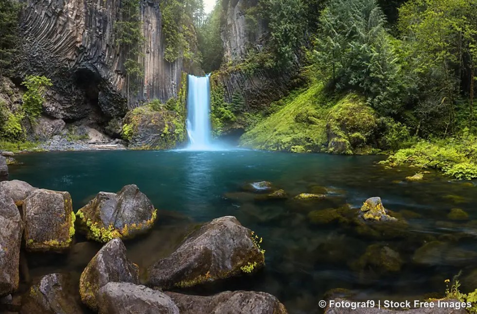 stockfreeimages's tweet image. Nature’s perfect version of television - no ads, no noise 💚
stockfreeimages.com/0p4pijwb15/Wat…
#waterfall #waterfalls #waterfallphotography #mountainriver #waterflow #nature #naturelovers