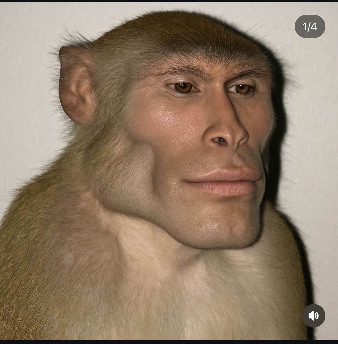 Chuckles McGee tweet media