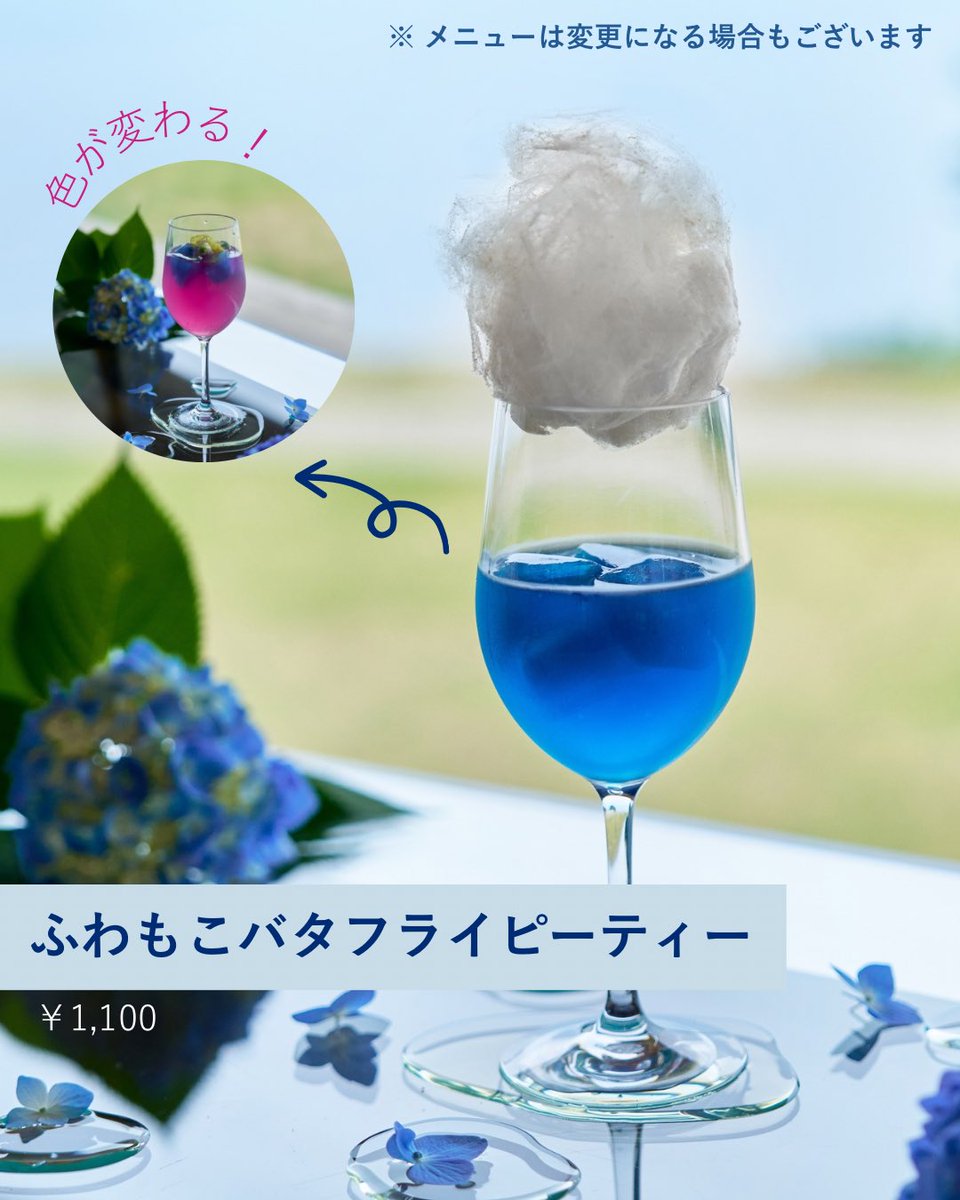 ACAO FOREST tweet media