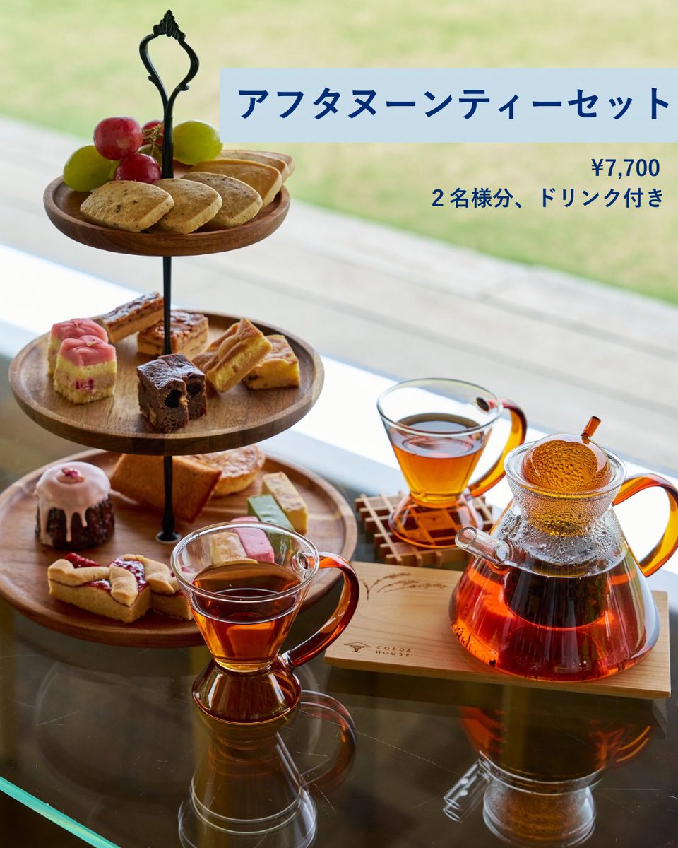 ACAO FOREST tweet media