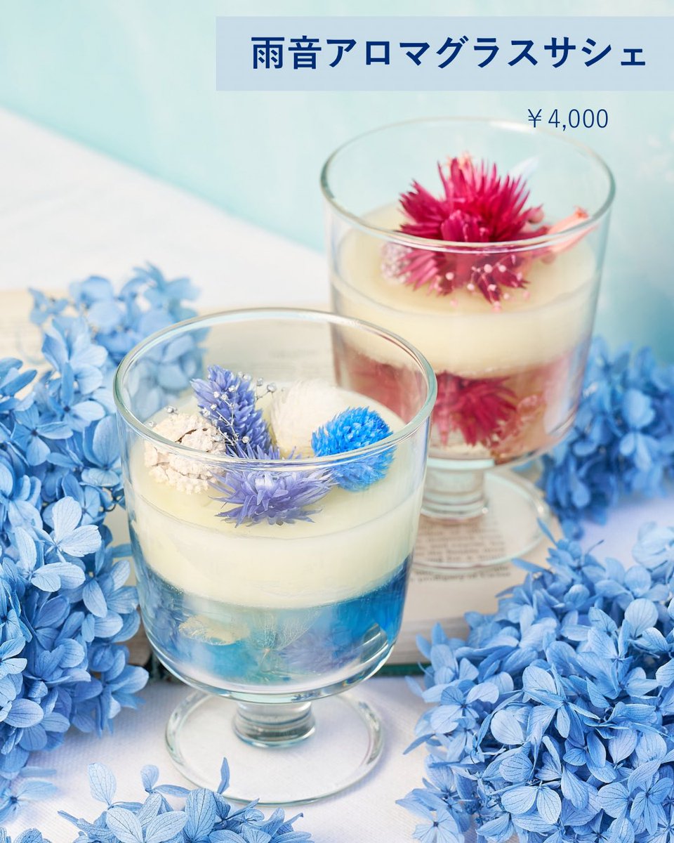 ACAO FOREST tweet media