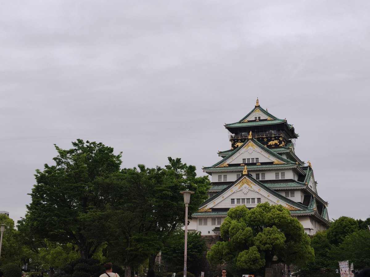 馬刺し tweet media