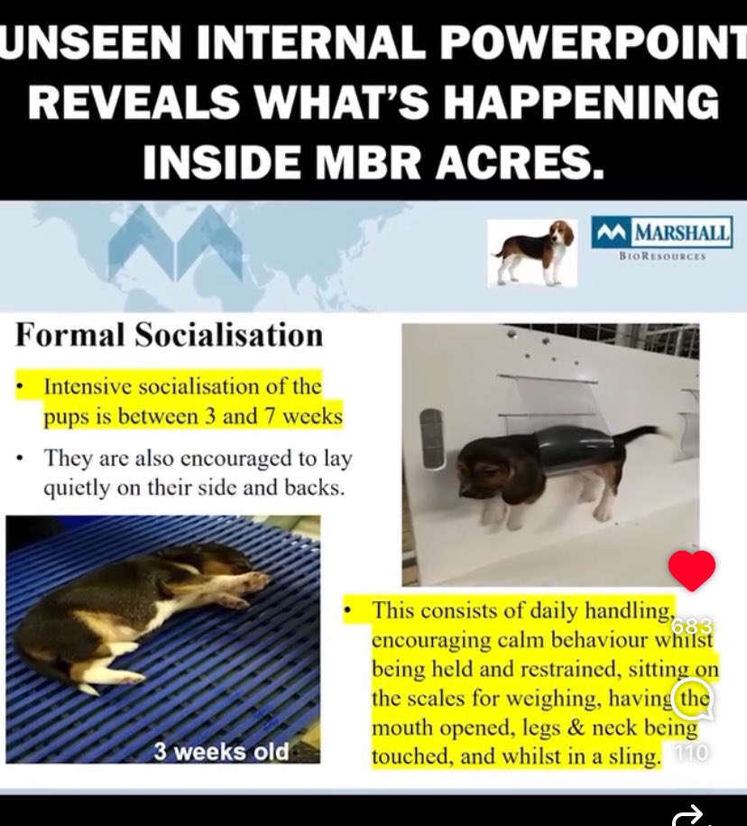 Karen Merrett tweet media