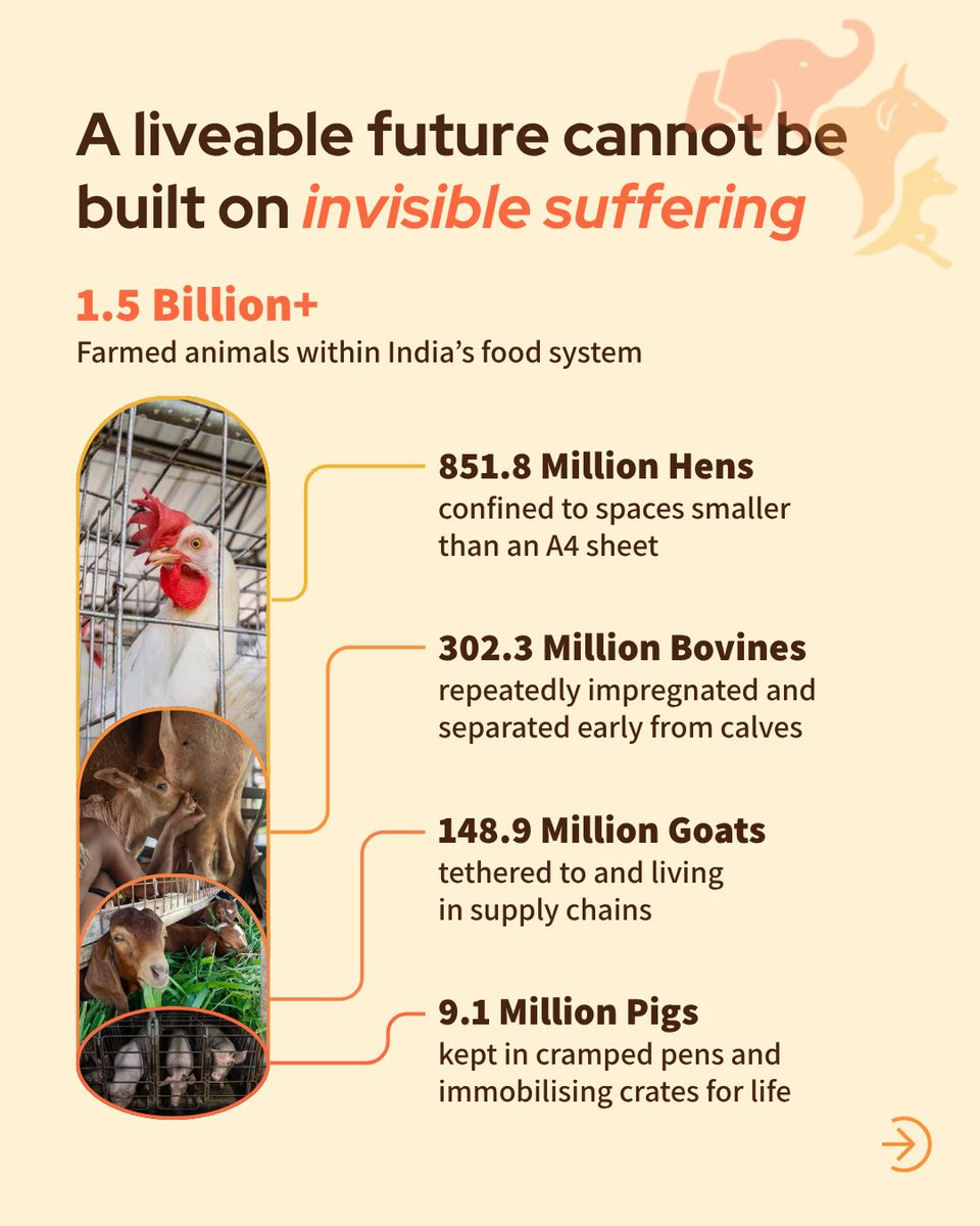 FIAPOIndia's tweet photo. Climate action isn’t just energy—it’s what’s on our plates. Food systems drive emissions, pollution, and hidden violence. As the Climate Clock ticks toward 1.5°C, we can’t look away. #EarthDay #ClimateAction #FoodSystems #ActNow https://t.co/G0HjDZVo3K