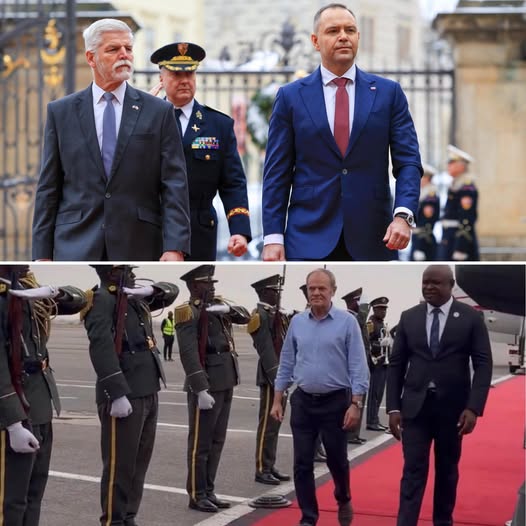 TUSK JA POLSKI PATRIOTA TWÓJ KOSZMAR tweet media