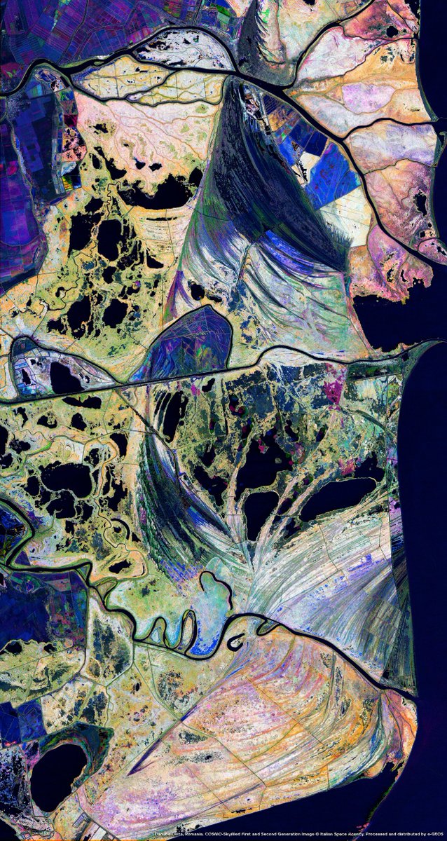 Leonardo tweet media