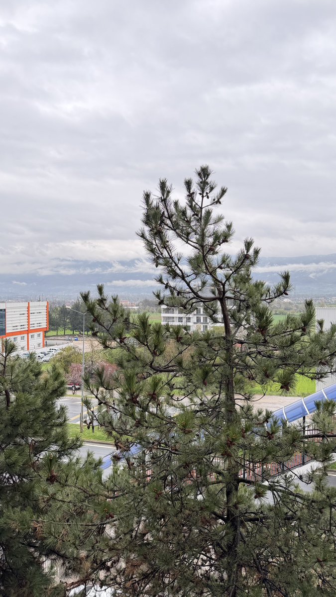 Özlem Kurnaz tweet media