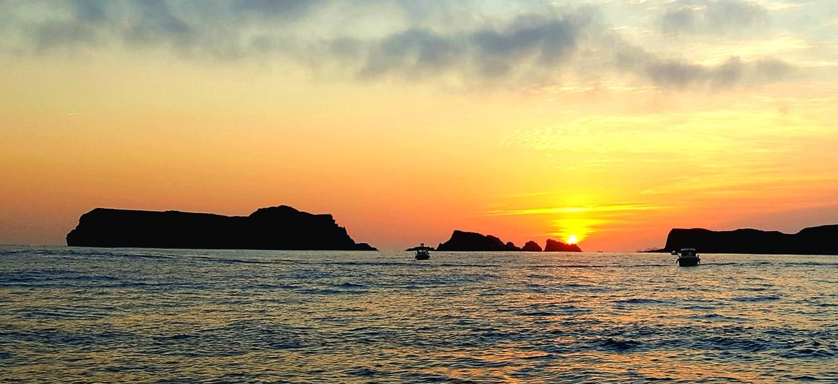 El Atunero🏴‍☠️ tweet media