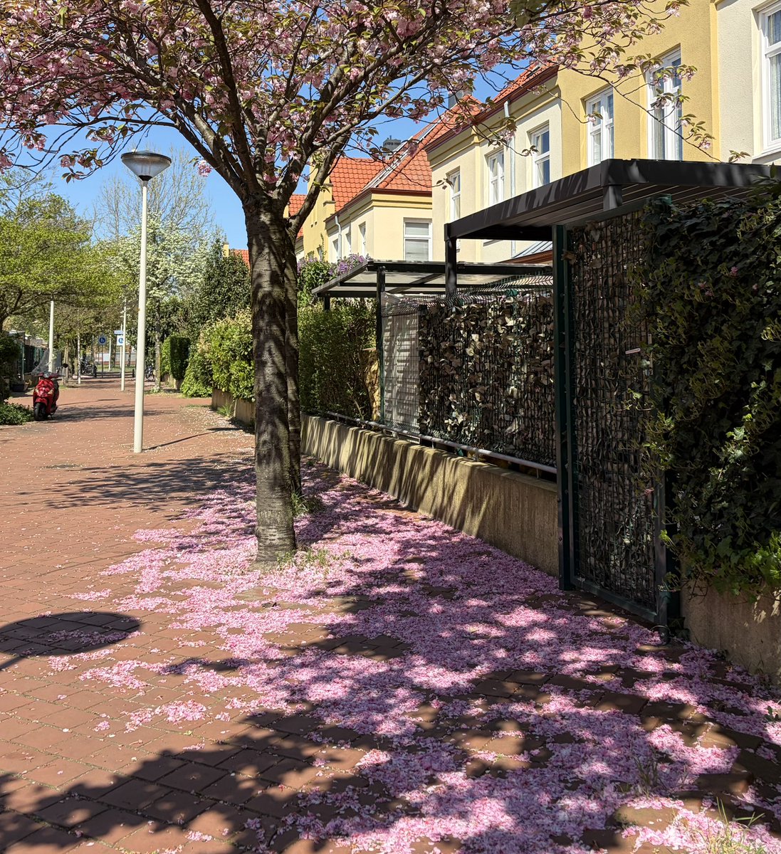 today is going to be a good day :)