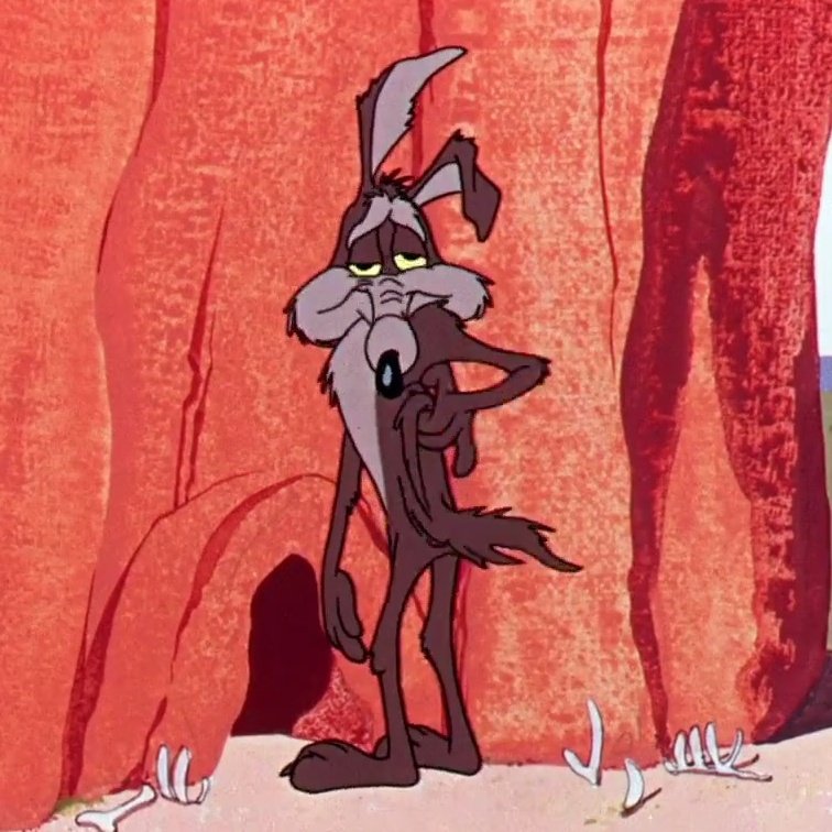 Cody | Wile E stan tweet media