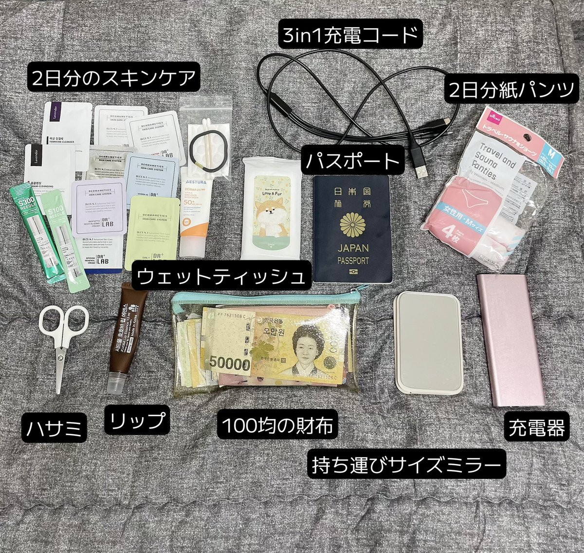 おしゃべり専用ごりちゃん🇰🇷 tweet media