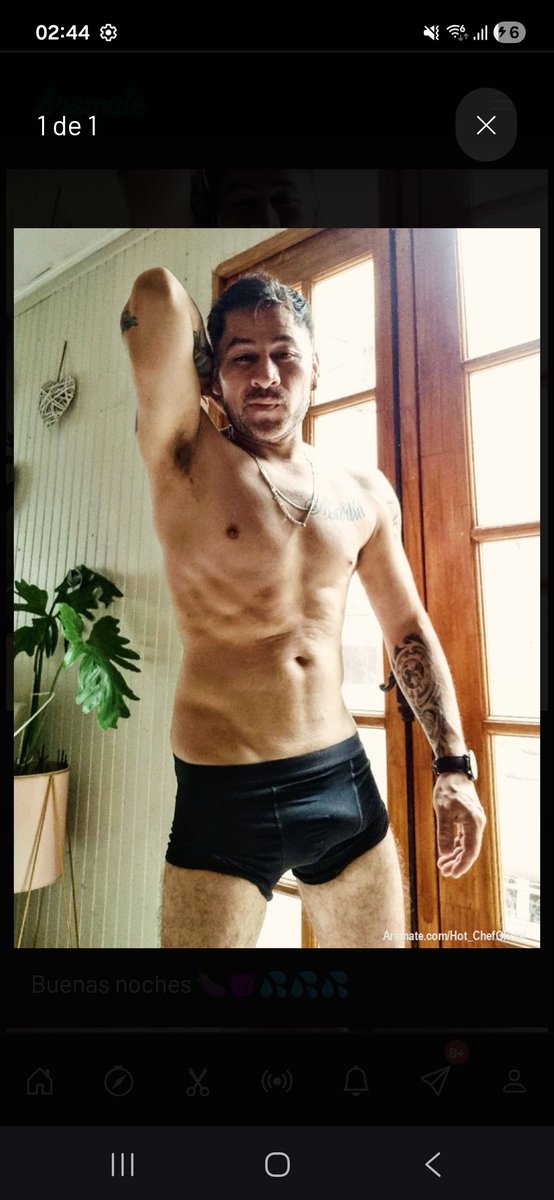 ElChefsito tweet media