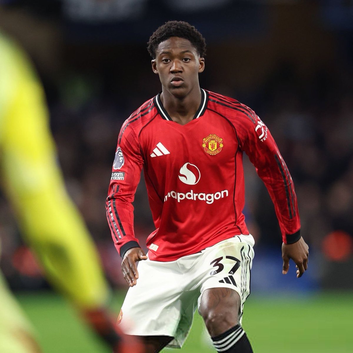 (fan) Frank 🧠🇾🇪 tweet media