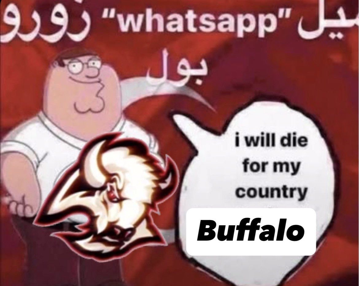 y - 🎲 tweet media