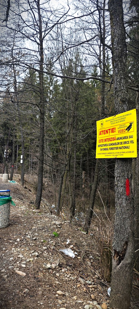 RNP_Romsilva's tweet photo. ‼️ Pădurea nu este groapă de gunoi ‼️

♻📸 Colegii noștri de la Ocolul Silvic Brașov din cadrul Direcției Silvice Brașov au instalat noi panouri de avertizare în fondul forestier, pentru a preveni aruncarea deșeurilor în păduri https://t.co/fEEvAr21rY