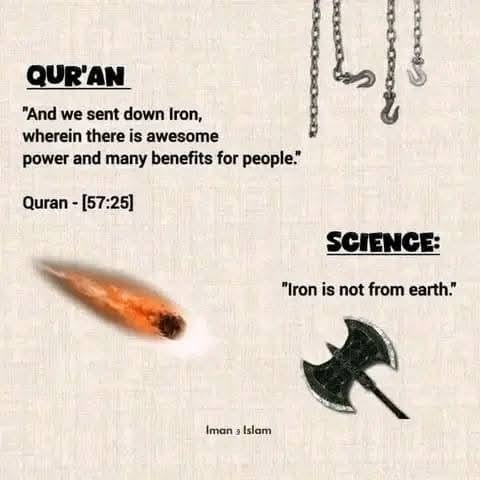 Agent of Rebellion tweet media